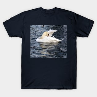 Swan cleans its feathers T-Shirt